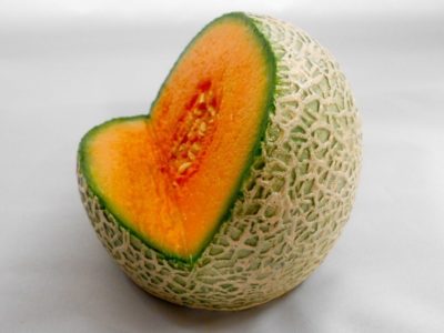 melon_tablet_stand_MED