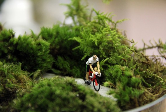 cyclist-terrarium-570x384