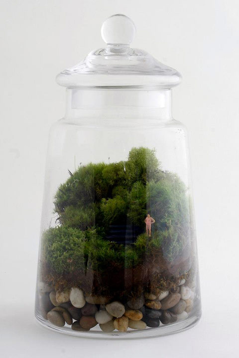 twig-terrarium-4