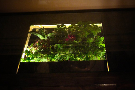 daniel-zeller-terrarium-desk-2