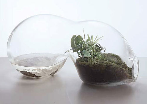 paula-hayes-terrarium-02