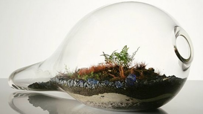 teardrop-terrarium_48