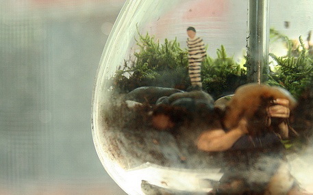 terrarium-gumball2