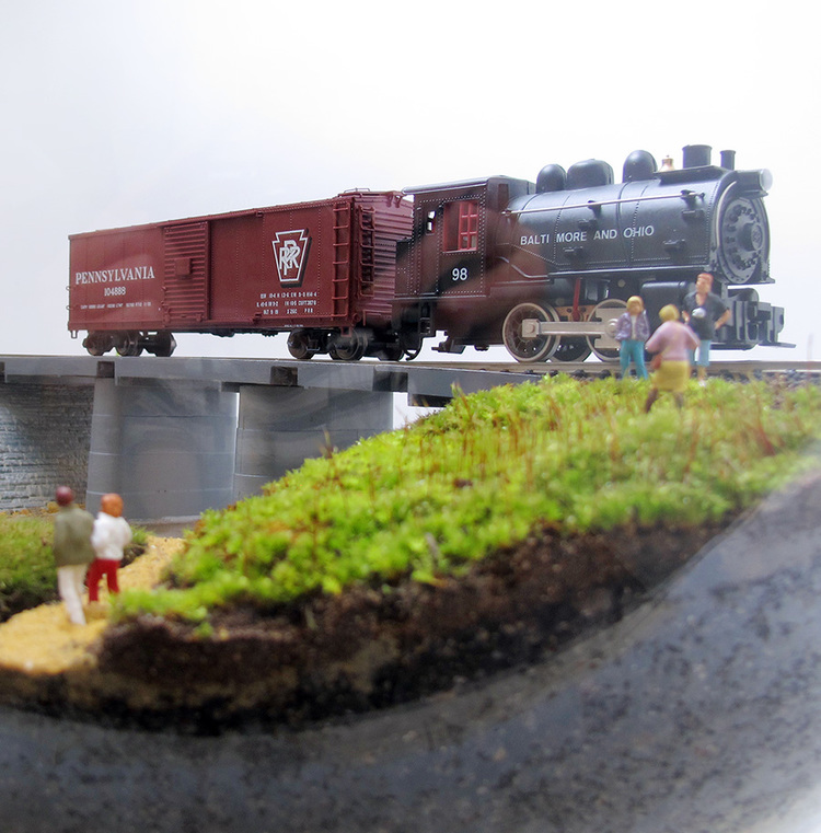 Terrarium Makers DC's