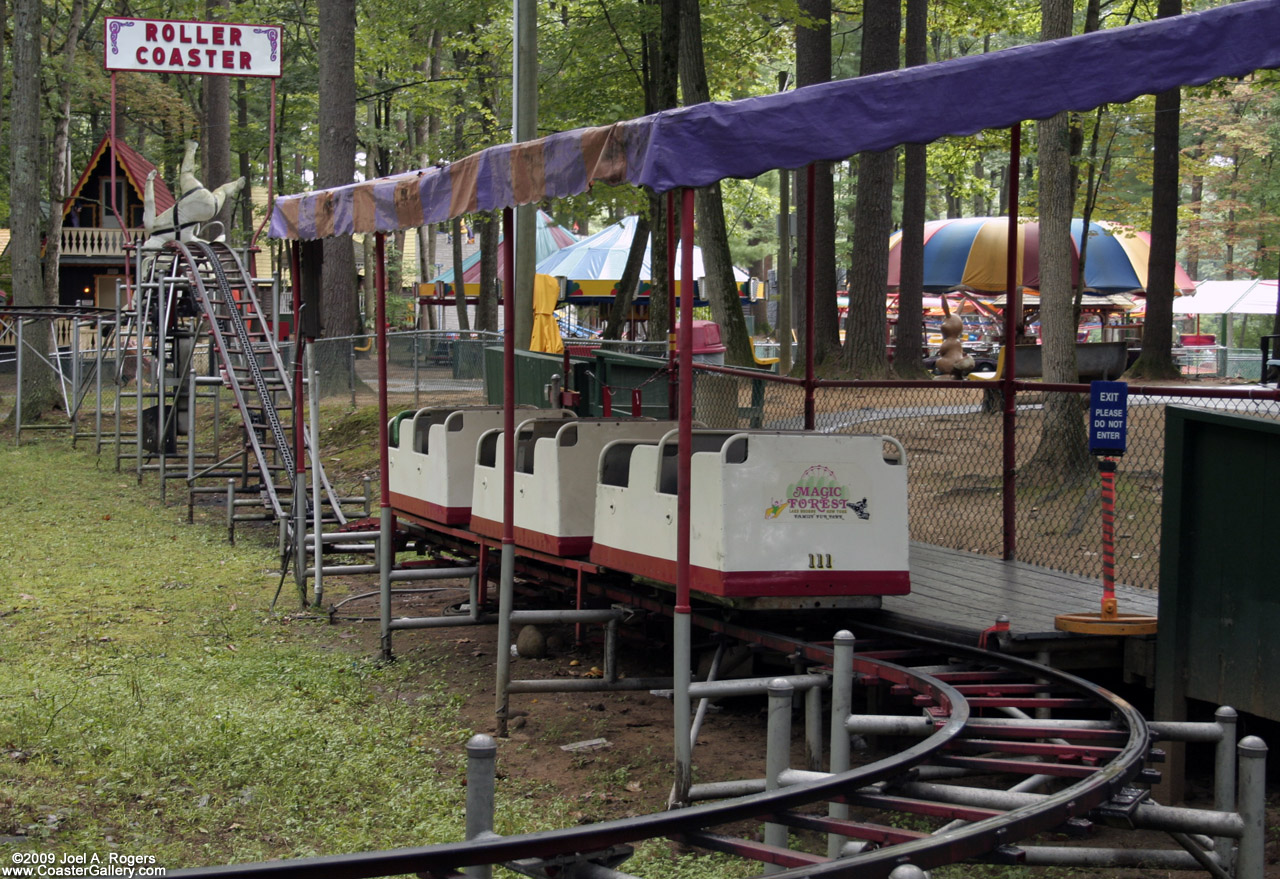 Magic Forest Park Roller Coaster