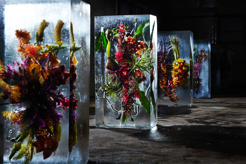 azuma-makoto-iced-flowers-designboom06