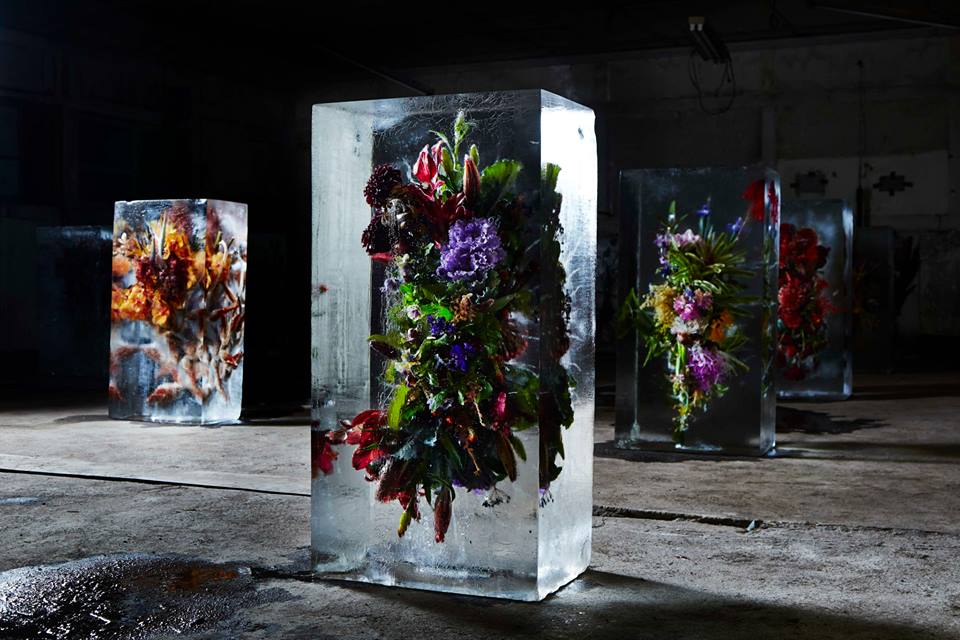 iced-flowers-makoto-azuma-1